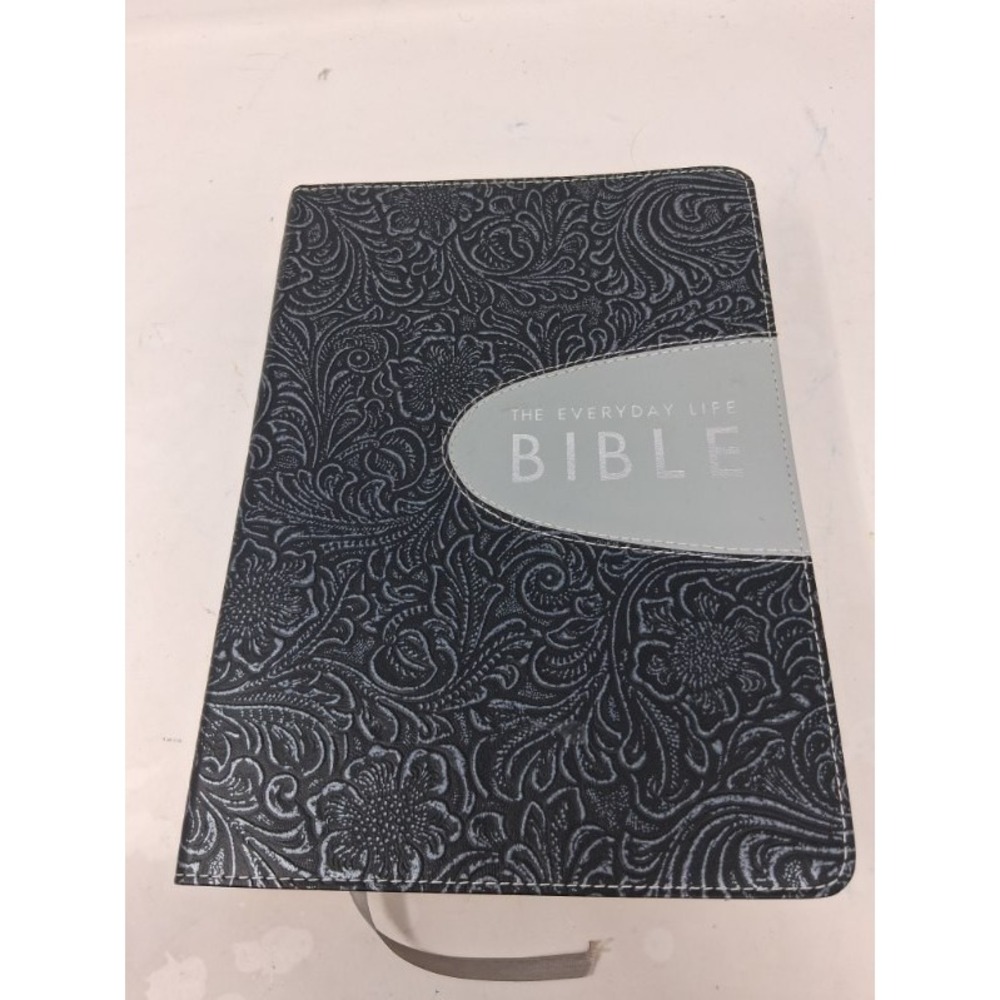 The Everyday Life Bible AMP Joyce Meyer Leather Pewter Graphite 2009